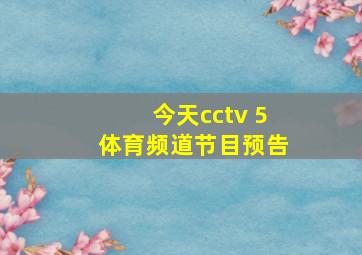 今天cctv 5体育频道节目预告